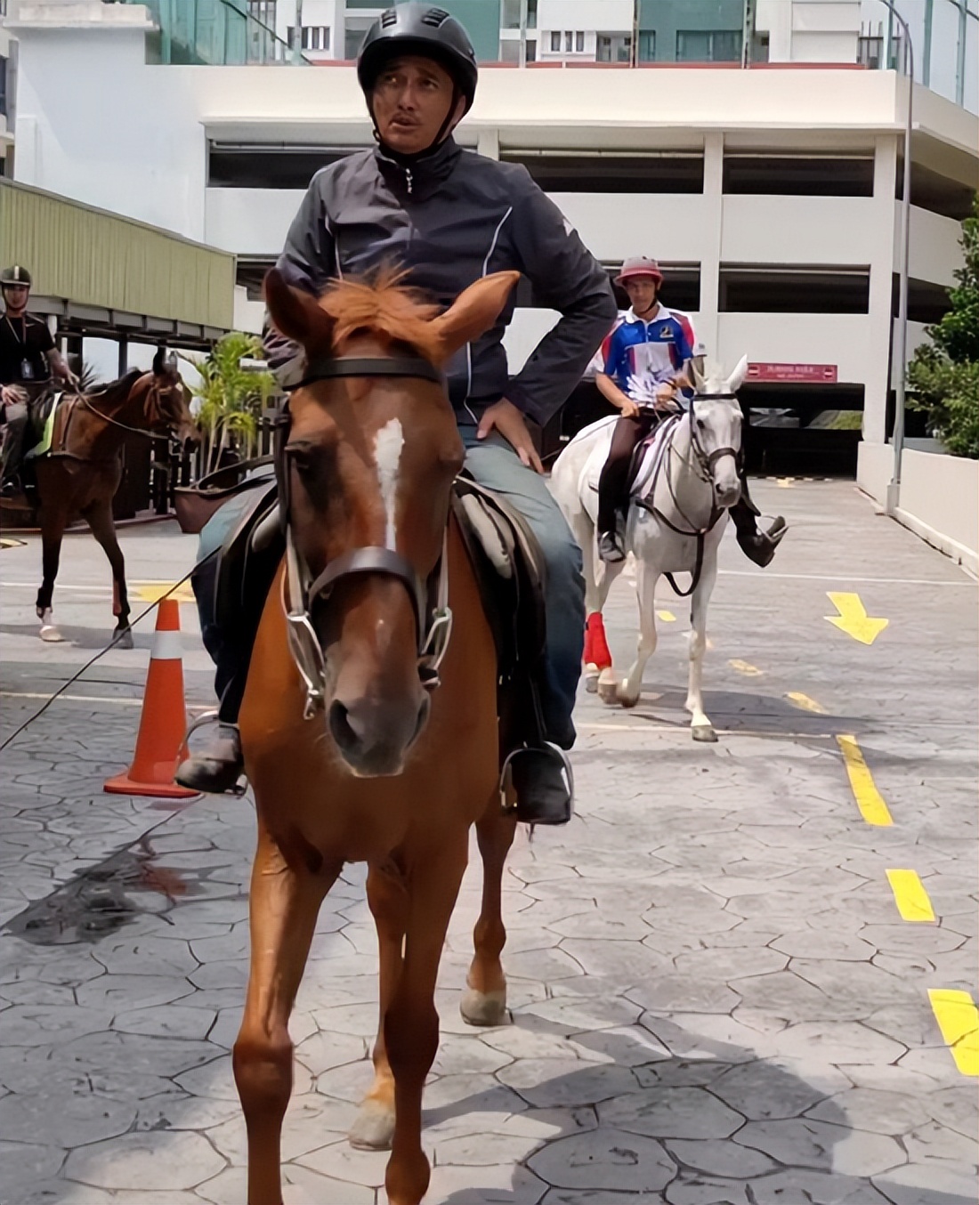 大马读国际学校,大马国际学校有哪些