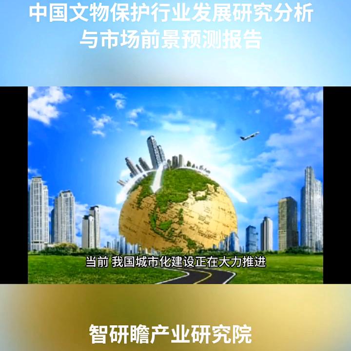 行业投资与发展前景研究报告,行业发展分析及投资前景预测报告