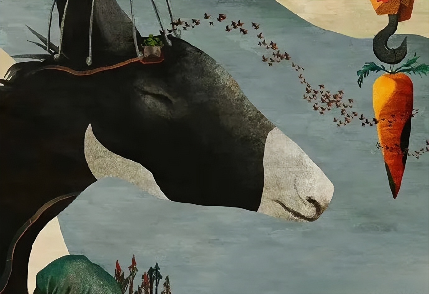 关于驴的电影大全,关于驴的电影解说