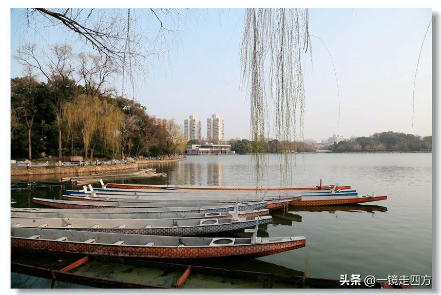 上海长风海洋公园和自然博物馆,上海长风公园占地面积