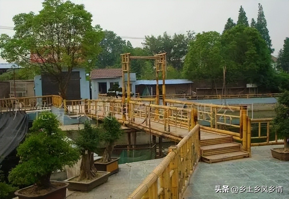 创业失败想回农村创业,回农村创业新方法有哪些