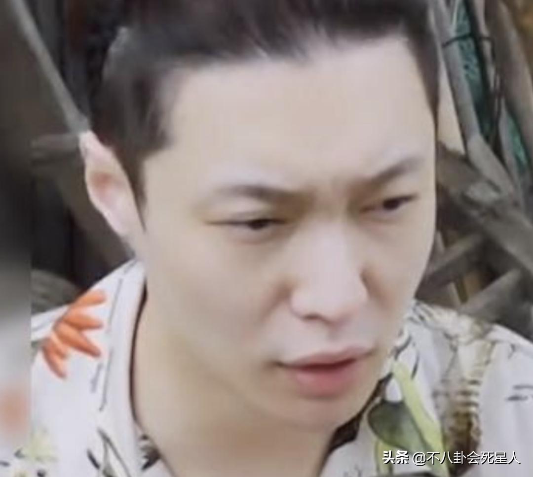 内娱男照骗,内娱九大帅哥证件照