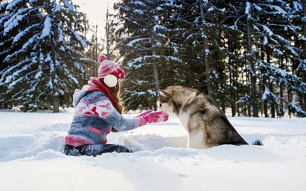 各国生孩子的观念,为什么国外生孩子容易
