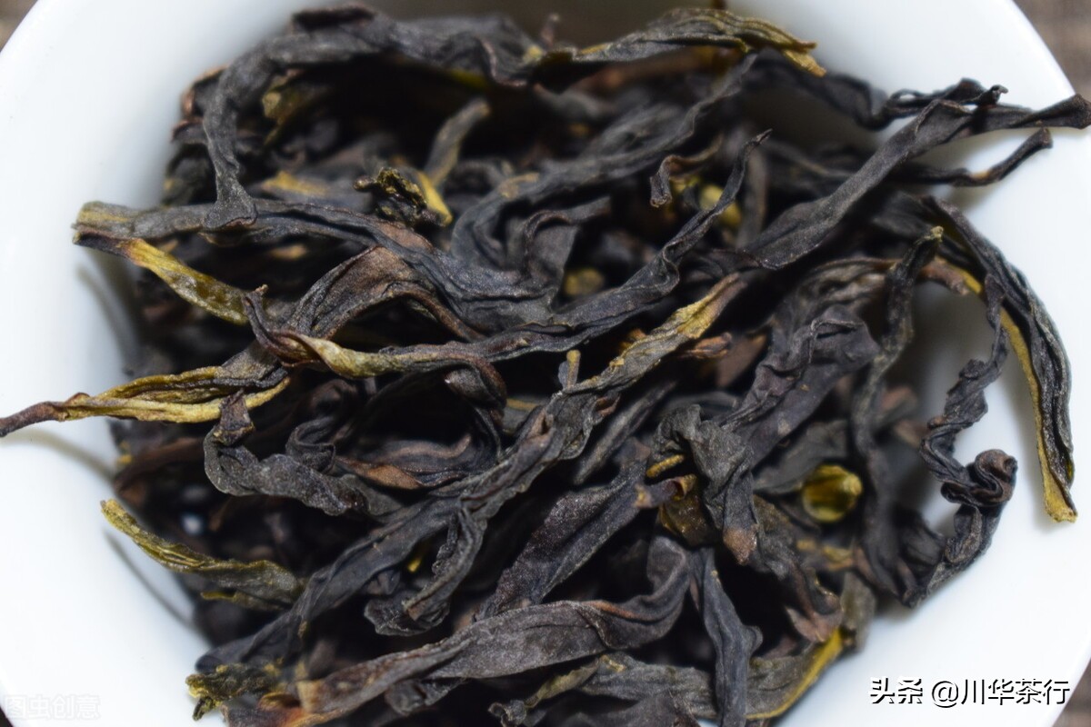 3分钟带你了解凤凰单丛茶,讲凤凰单丛短视频