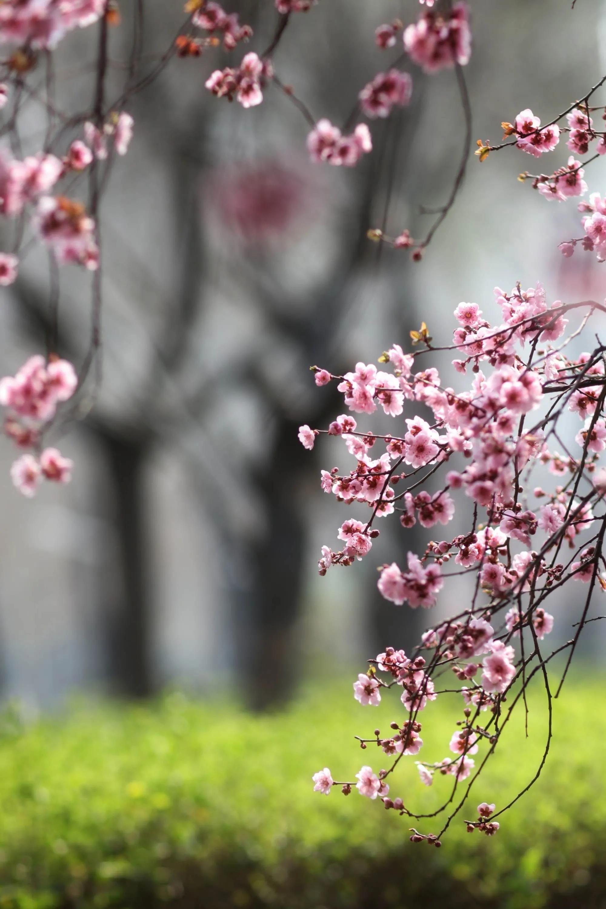 斑驳岁月如梦初醒,斑驳岁月静默时光