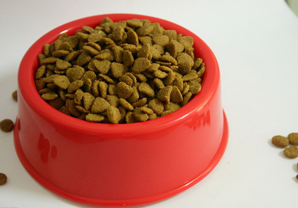 幼犬刚到家狗狗不吃东西了怎么办,狗狗不吃东西怎么办怎么喂