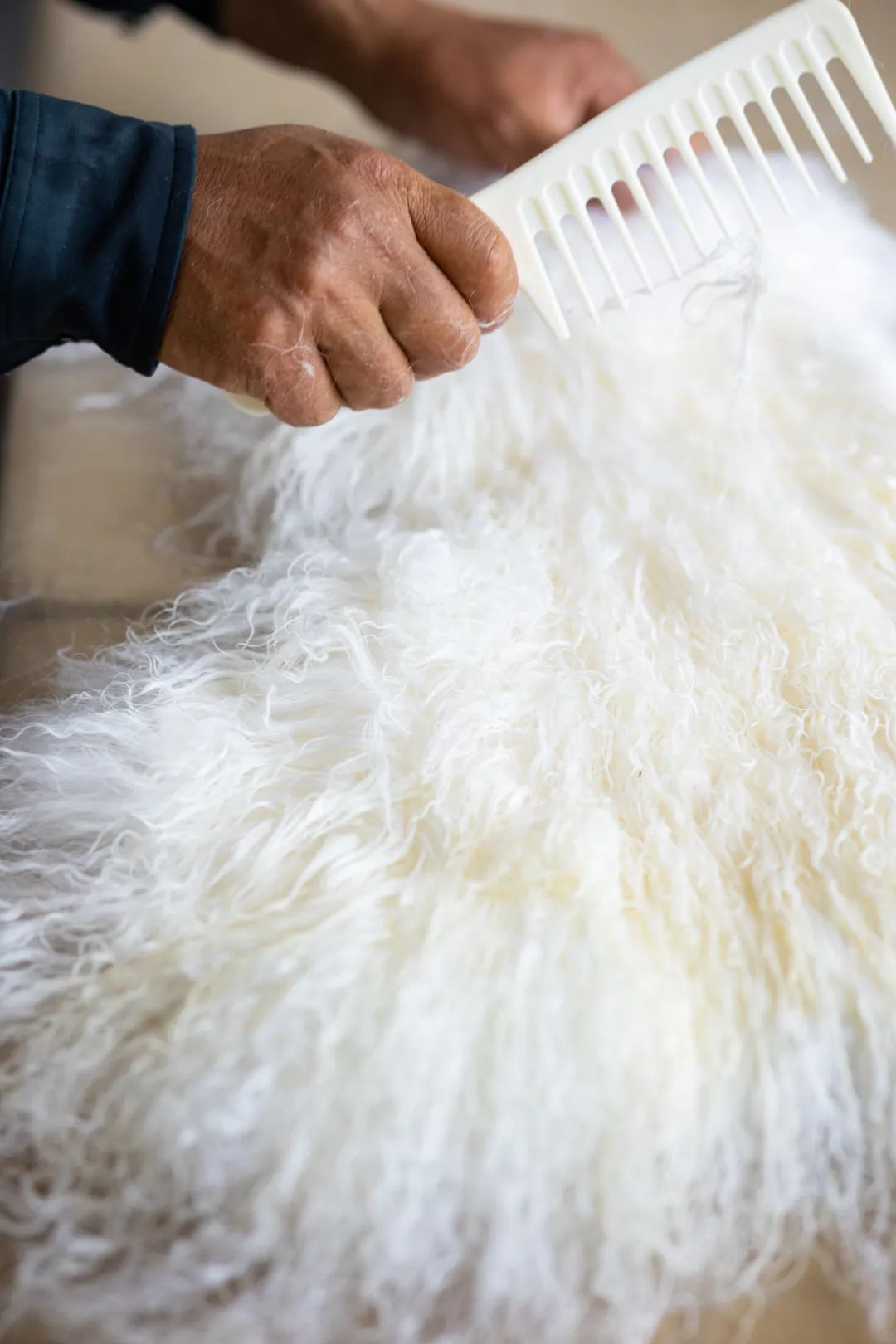 盐池滩羊清炖羊肉做法,苏尼特羊肉和盐池滩羊