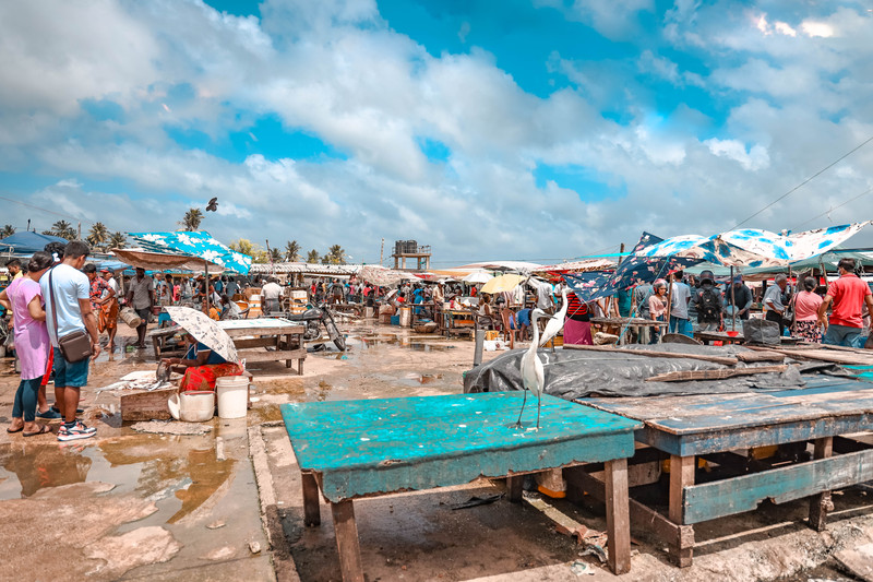 斯里兰卡旅游攻略必去景点,斯里兰卡旅游攻略最佳时间