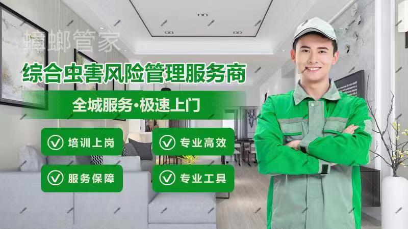 灭蟑螂神器排名第一,灭蟑螂方法洗洁精小苏打