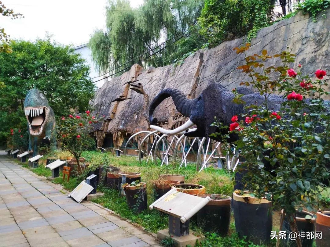 义煤新安矿大合唱,义煤最新事件