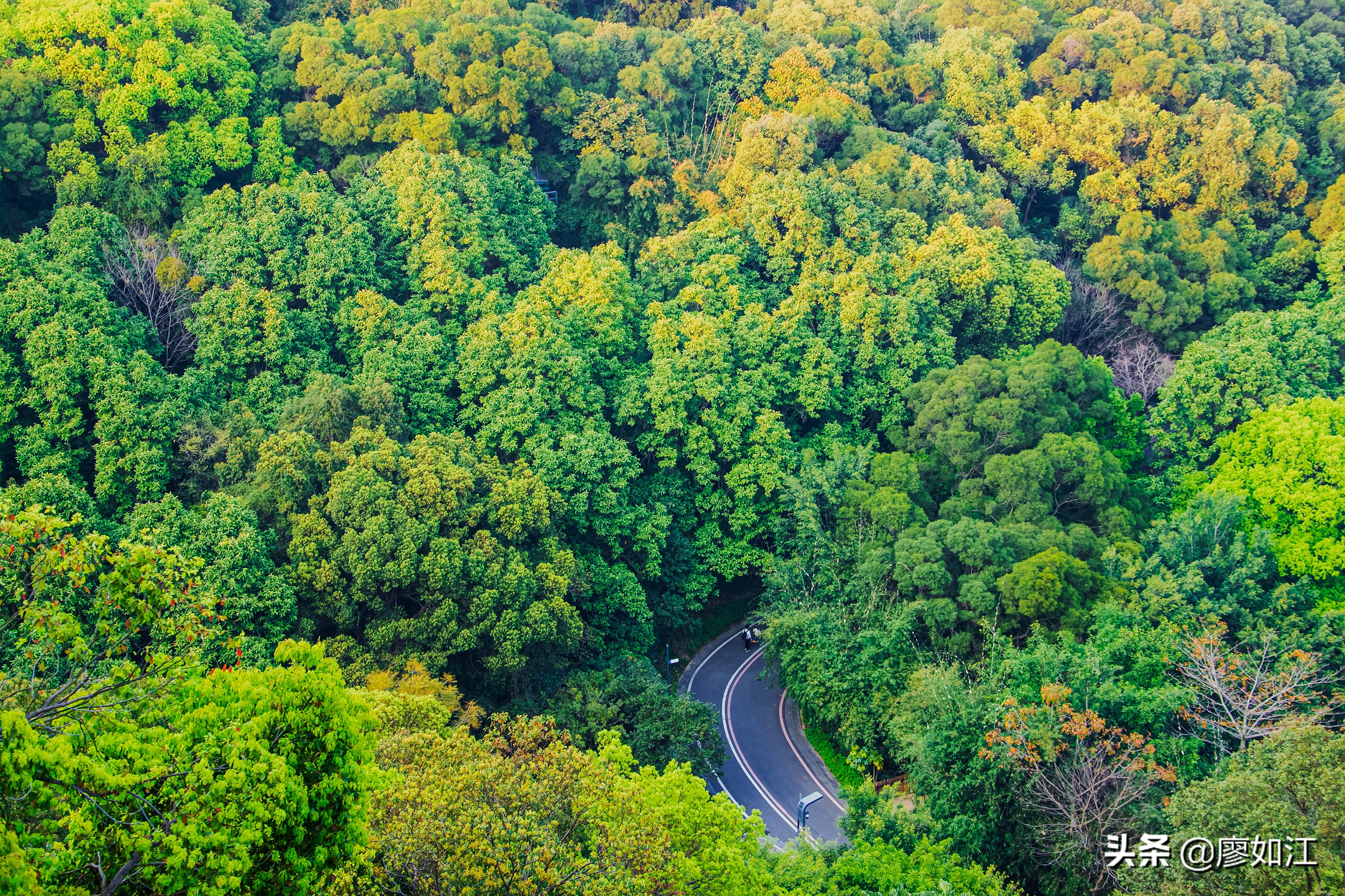 高盖山公园美篇,高盖山公园全景