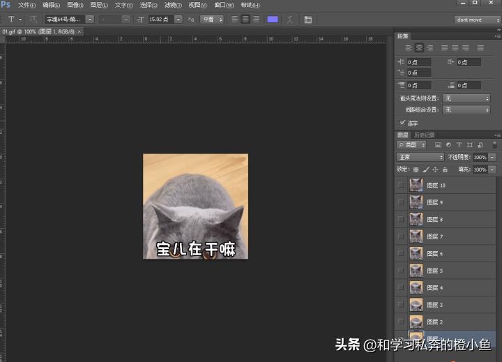 猫和老鼠动态表情包gif微信,乔杉搞笑动图gif微信表情包