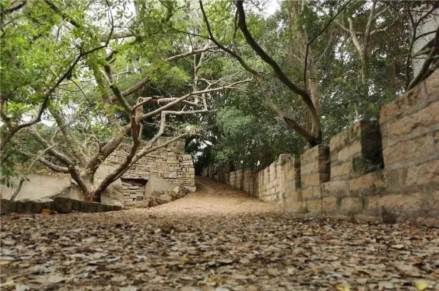 闽山闽水好风光,闽山闽水旅游
