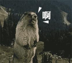 网警纠正医师弱口令,网警纠正医院系统弱口令