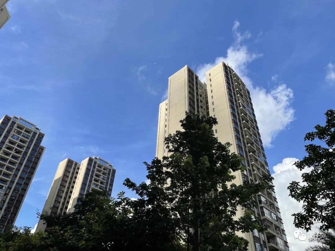 容桂东部：凤凰湾入秋了（多图）