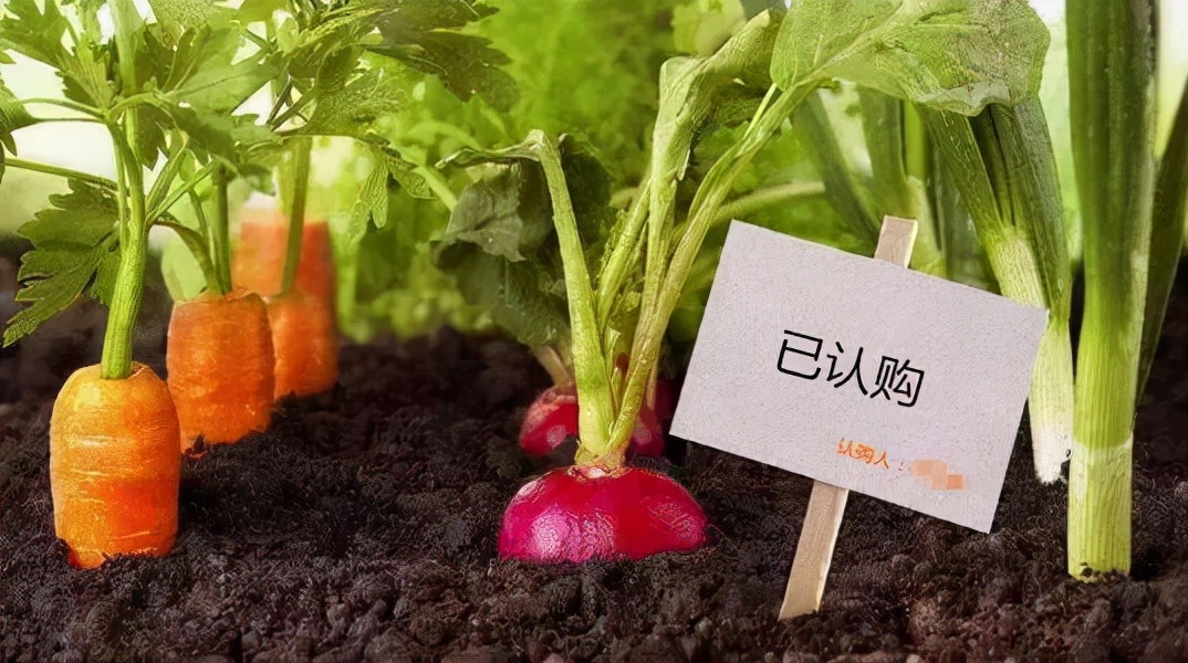 如何推广农产品品牌策略,高端农产品品牌推广方案