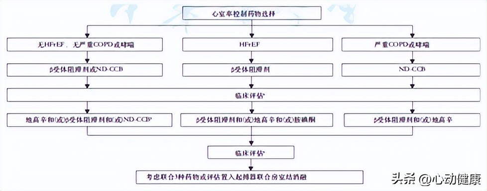 诊断心房颤动应该吃什么药,心房颤动患者的护理诊断