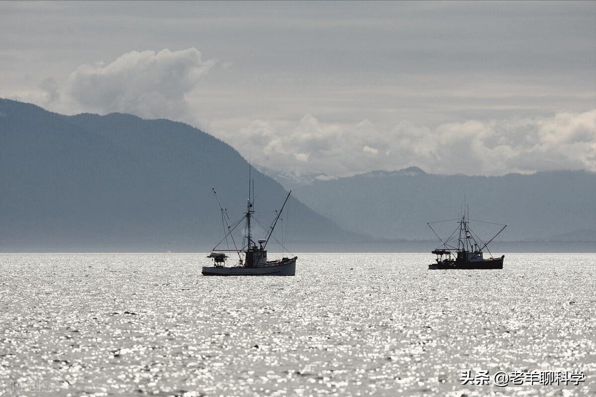 疯狂“抢”渔20年后，日本渔业陷入死局，扶不起就破罐子破摔？