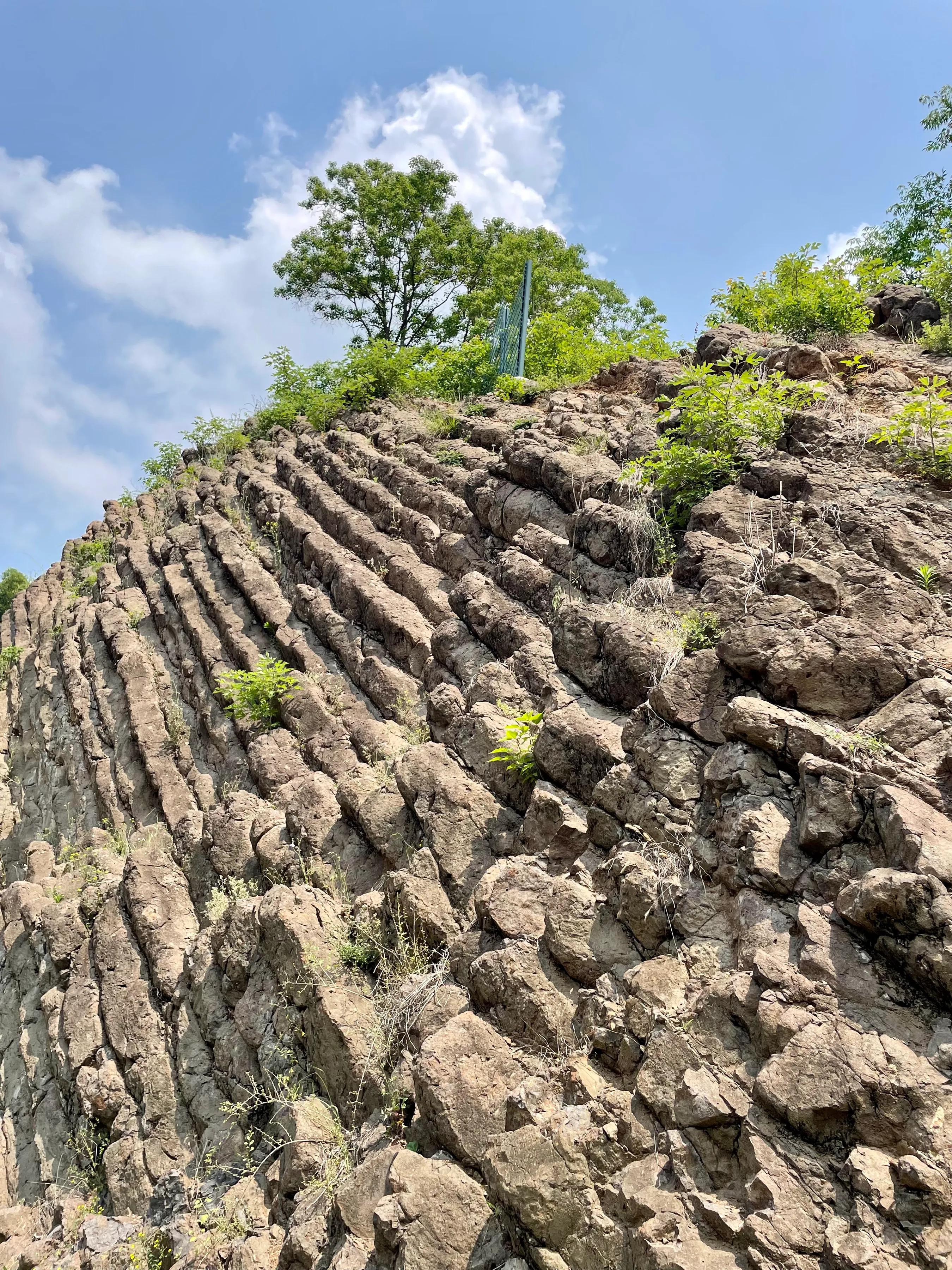 石柱参天——大自然的鬼斧神工