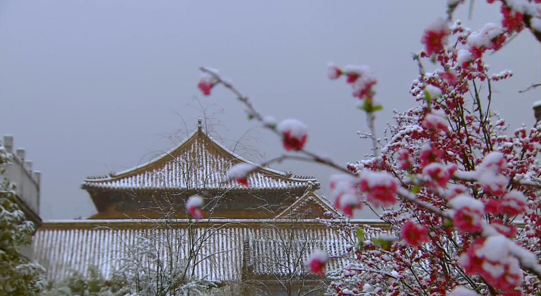 步步惊心八爷对四爷评价,步步惊心八爷临死前的真相