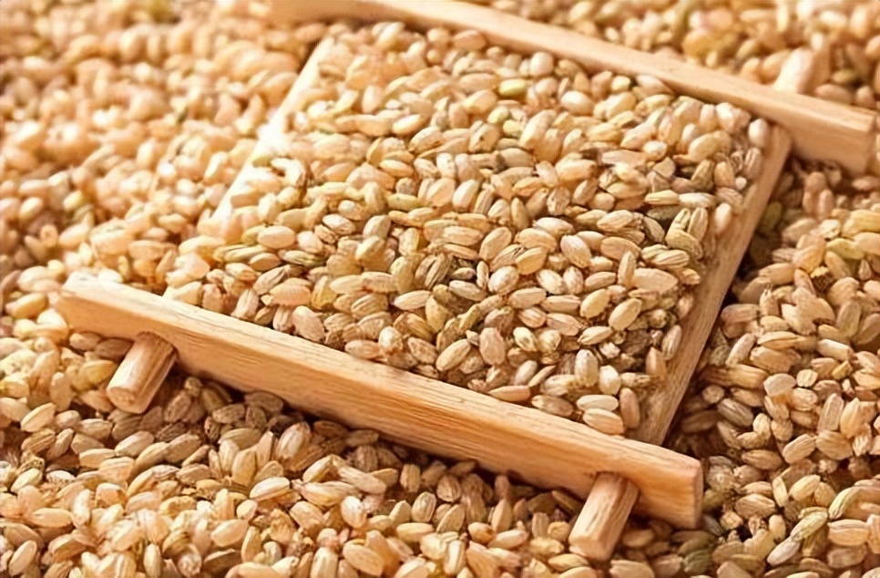 红薯怎么吃掉秤快,什么红薯饱腹感强