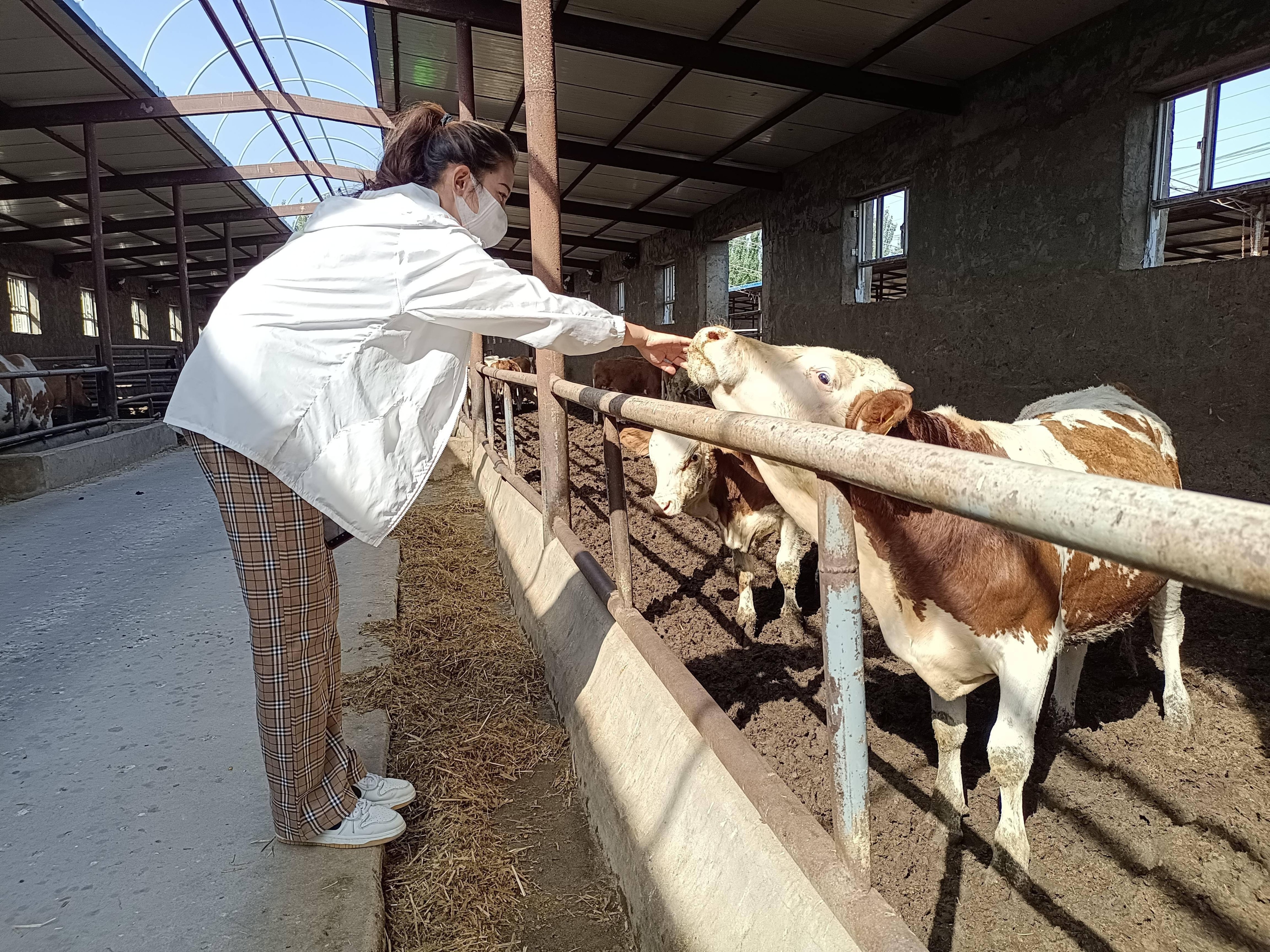 养殖创业养什么赚钱,农村养殖创业养什么好