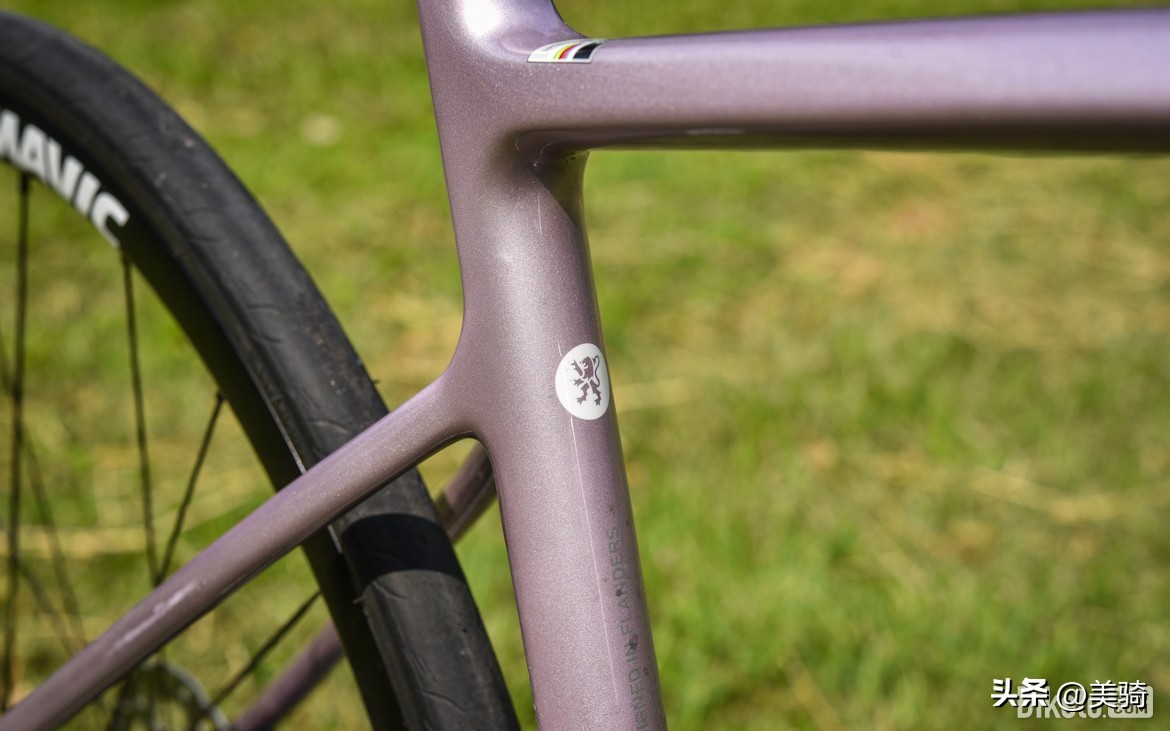 另类入门碳车VanRyselNCRCF公路车评测