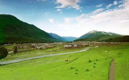 靠近那片橄榄绿(小说)