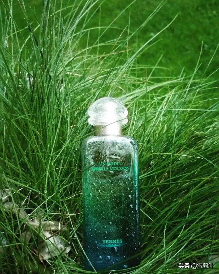 爱马仕雨后花园绝版了吗,爱马仕尼罗河花园香水测评