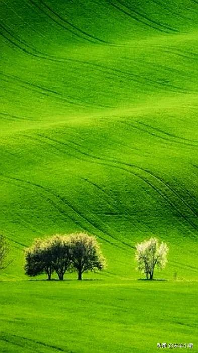 最美的手机壁纸大全,养眼养心的壁纸