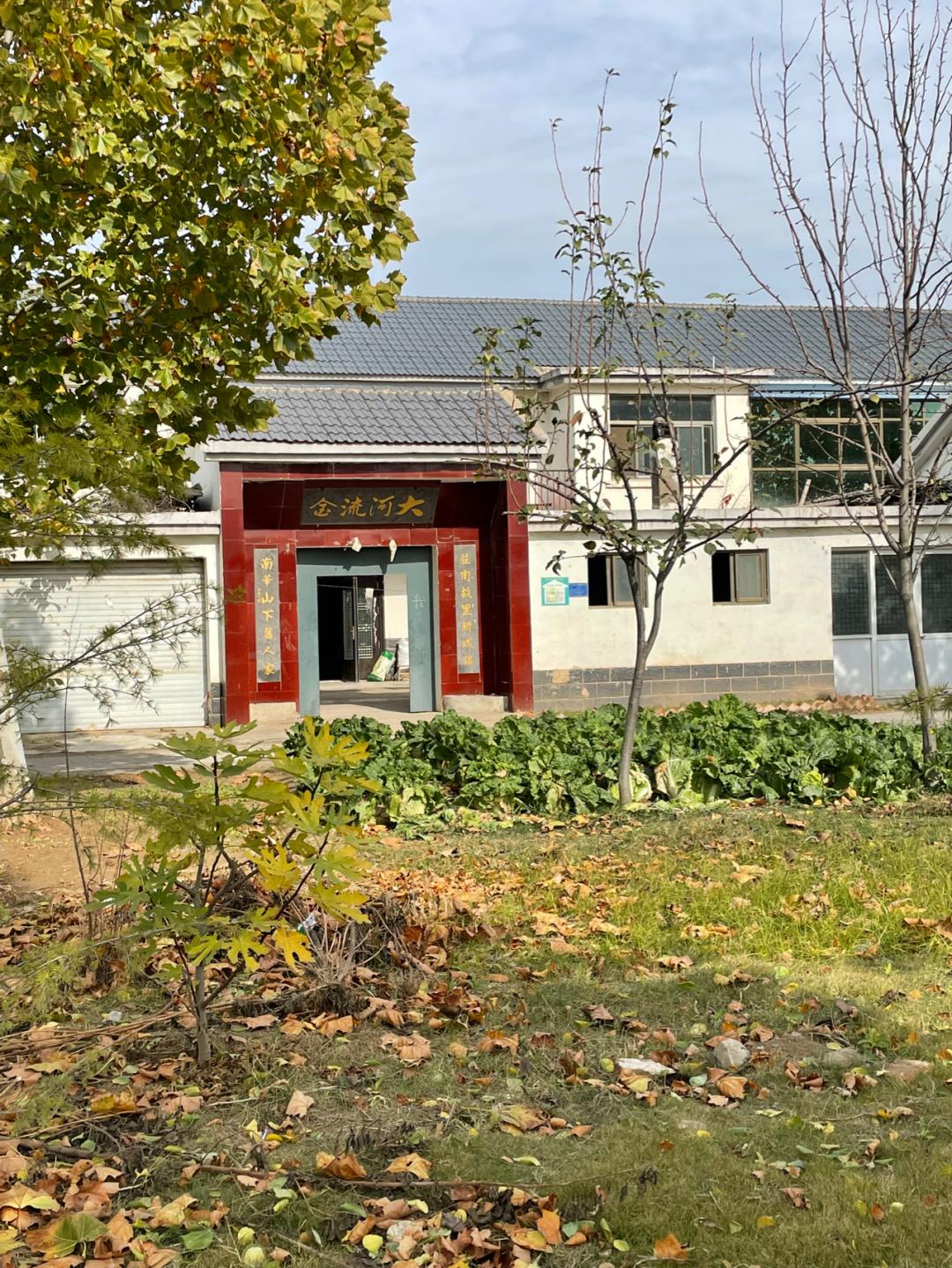 董董骑行山东,懂懂骑山东