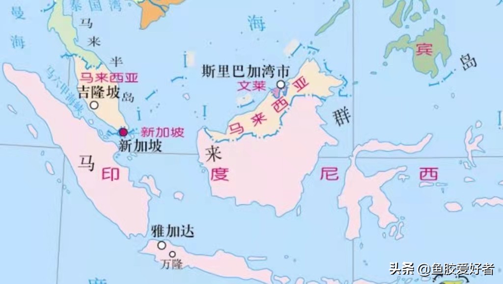 鱼胶全球产地分布图,买鱼胶哪些产地最正宗