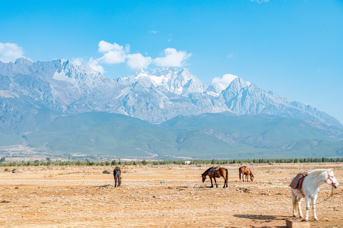 去云南旅游注意事项或建议有哪些,去云南旅游有哪些注意事项和要点