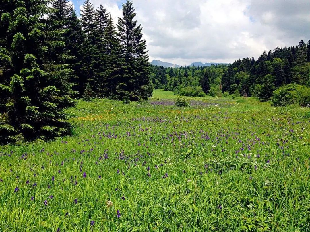 长白山北景区和南景区哪个更好玩,长白山选西景区还是北景区