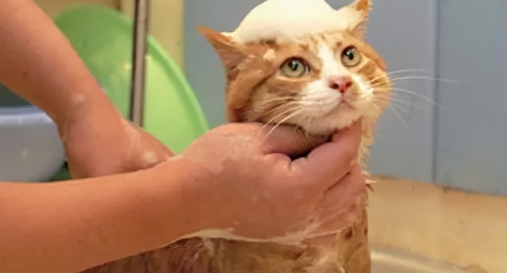 闅忔荡鑰屽畨缁甸槼,闅忛亣鑰屽畨