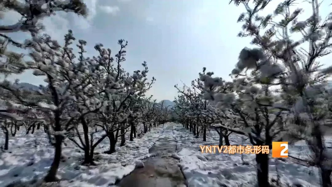 昆明今日迎来降雪图片,昆明迎来降雪高速路