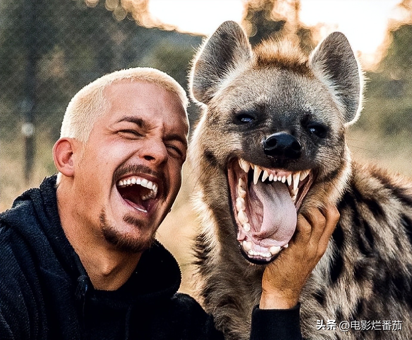 2019全球最帅面孔排行肖战,全球最帅100张面孔完整榜单肖战