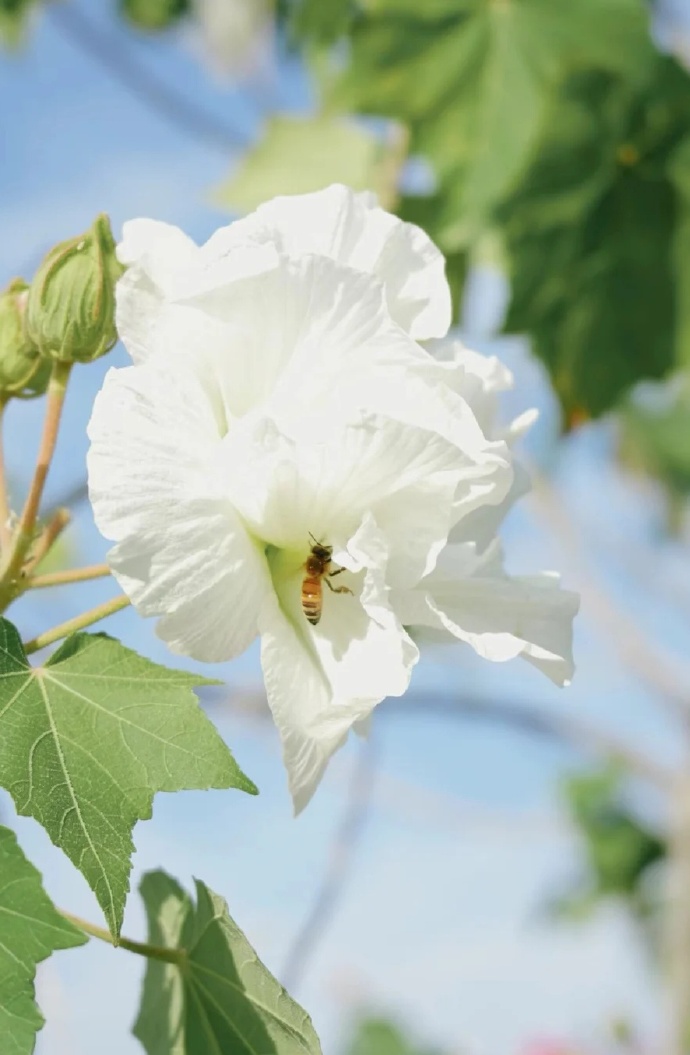 老了跟父母一起住还是分开住,人老了能和子女在一起住吗