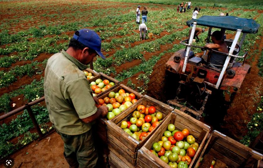 古巴人民是怎么生活的,古巴人民的社会福利怎样