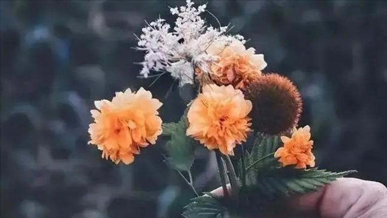 如果你的老公开始嫌弃你,当老公开始嫌弃你时该怎么办