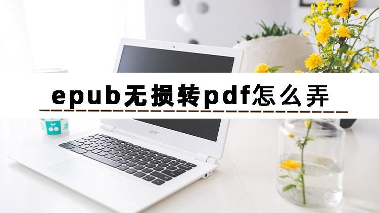 今日份安利：epub无损转pdf