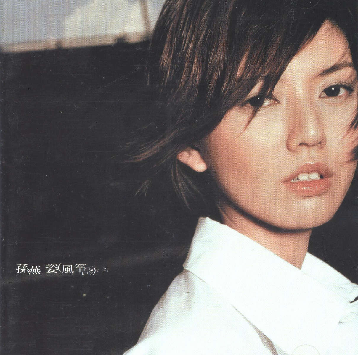 孙燕姿十大经典歌曲有哪些,孙燕姿最好听十首歌完整版