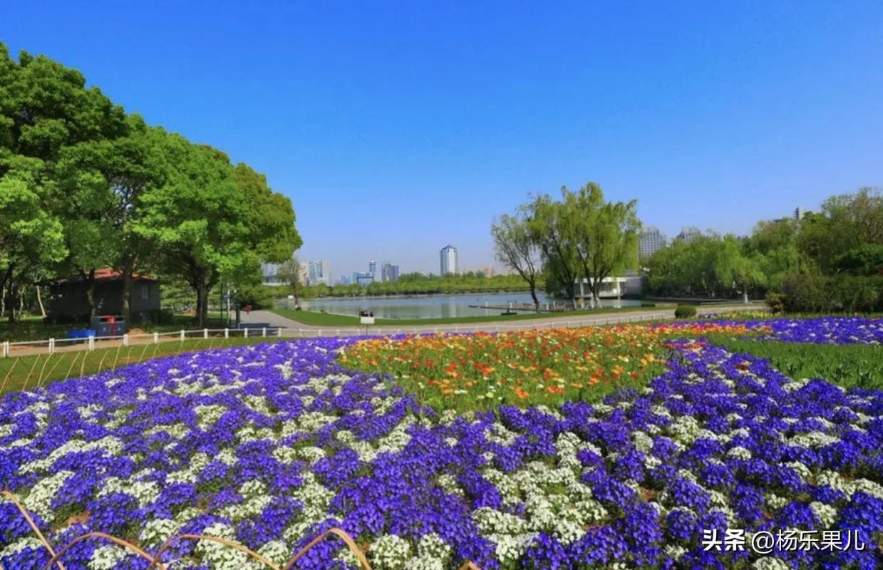 上海浦东新区北蔡镇,上海浦东新区八佰伴附近的酒店