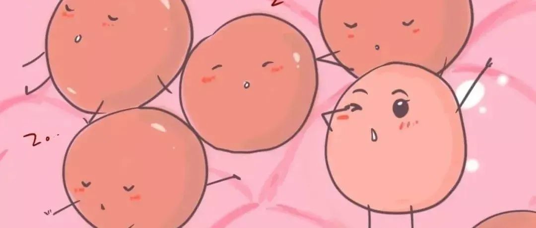 乐得宝功效与作用大揭秘：打一天卵泡长多大？