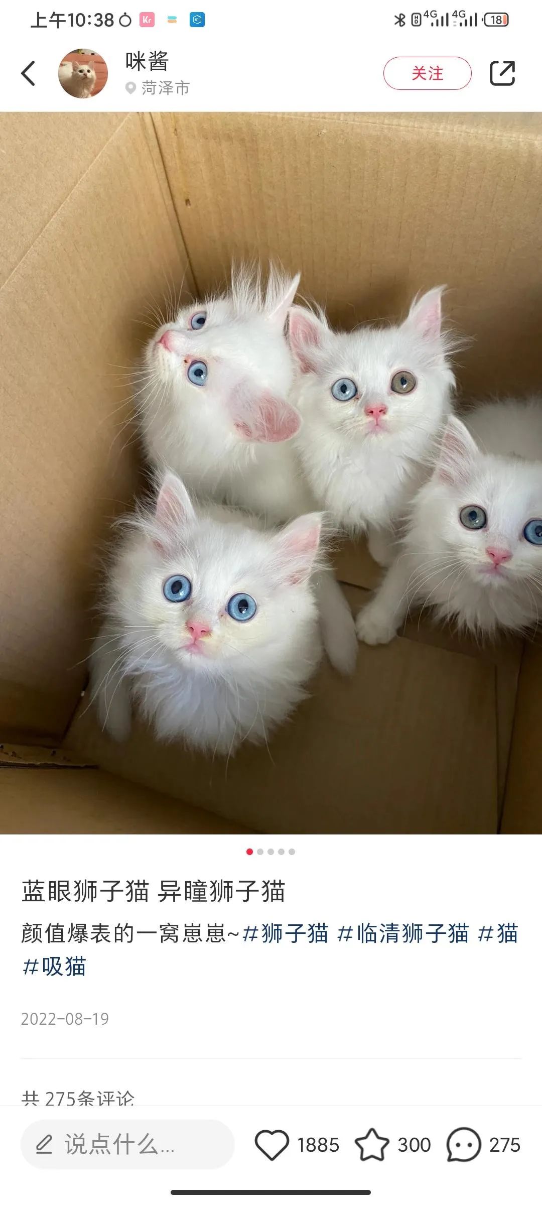 宠物市场的底层逻辑,关于宠物市场的市场分析