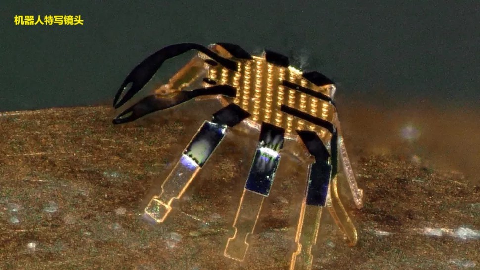 球状的螃蟹机器人,巨型螃蟹水下行走机器人