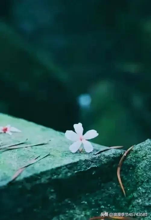 不用打字的七月再见你好八月美文,再见八月你好九月的散文