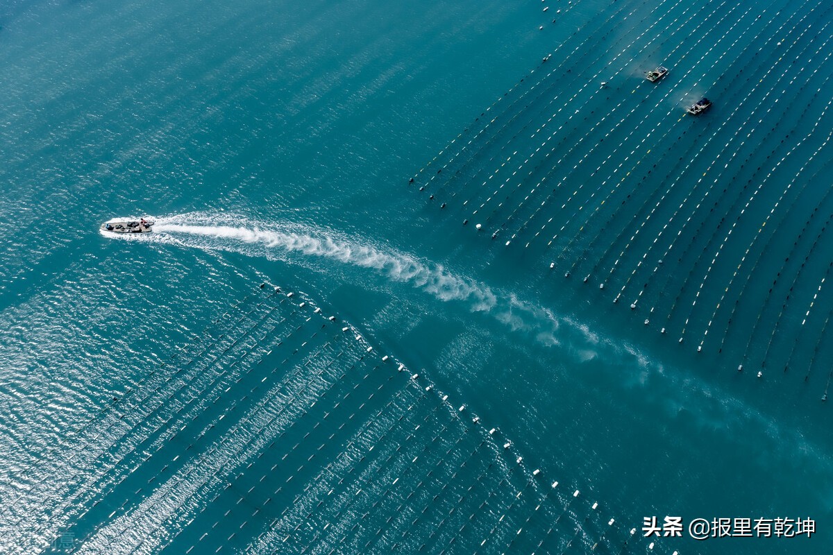 积累收藏：5月份人民日报金词金句合辑（二）（6.4）