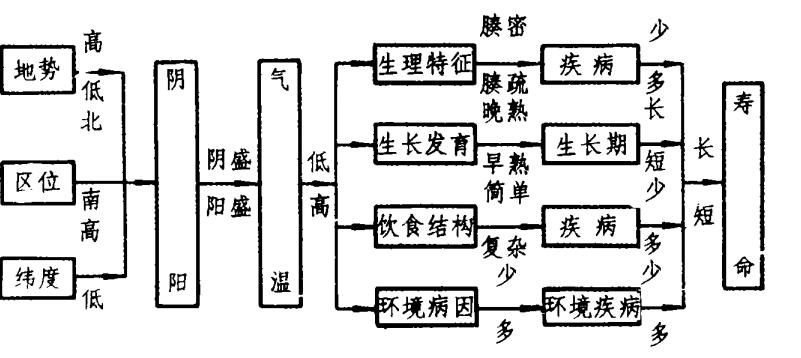身体换血能长寿吗,有钱人为了长寿每年都换血
