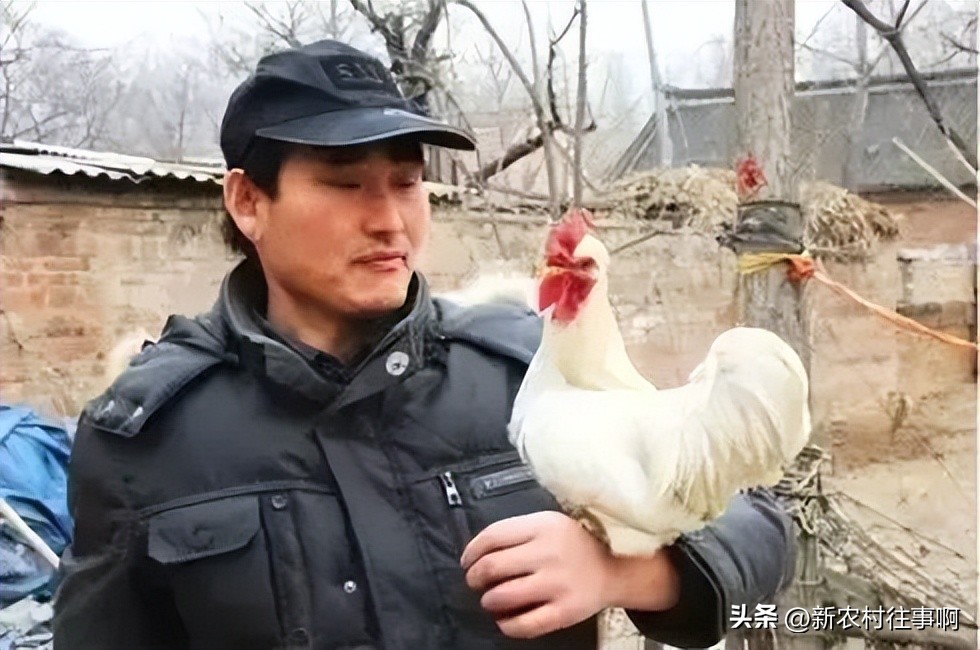 养老在城市好还是回农村老家好,老了适合回农村老家养老吗